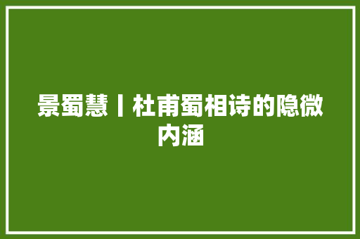 景蜀慧丨杜甫蜀相诗的隐微内涵