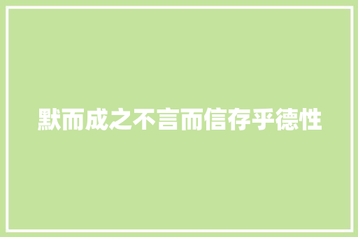 默而成之不言而信存乎德性