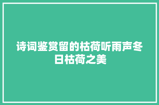 诗词鉴赏留的枯荷听雨声冬日枯荷之美