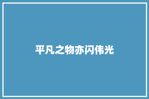 平凡之物亦闪伟光