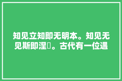 知见立知即无明本。知见无见斯即涅槃。古代有一位遇安禅师