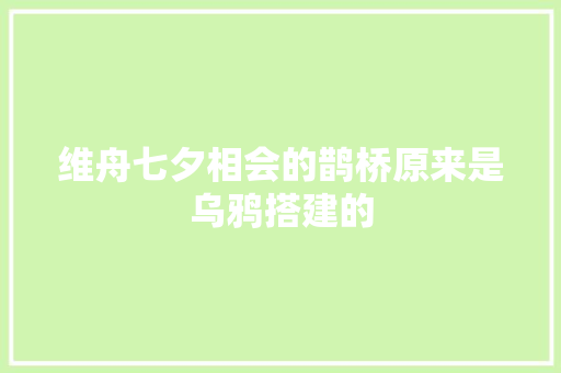 维舟七夕相会的鹊桥原来是乌鸦搭建的