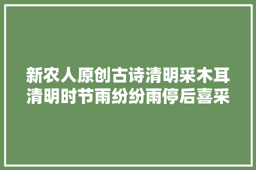 新农人原创古诗清明采木耳清明时节雨纷纷雨停后喜采木耳