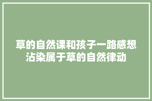 草的自然课和孩子一路感想沾染属于草的自然律动 草的自然课和孩子一路感想沾染属于草的自然律动