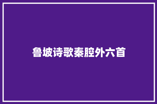 鲁坡诗歌秦腔外六首
