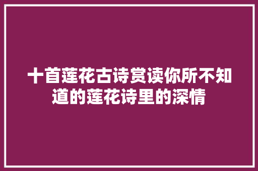十首莲花古诗赏读你所不知道的莲花诗里的深情