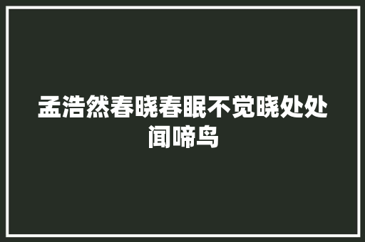 孟浩然春晓春眠不觉晓处处闻啼鸟