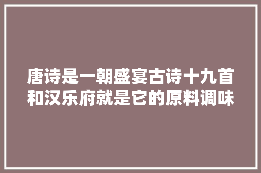 唐诗是一朝盛宴古诗十九首和汉乐府就是它的原料调味品以及历年的菜谱