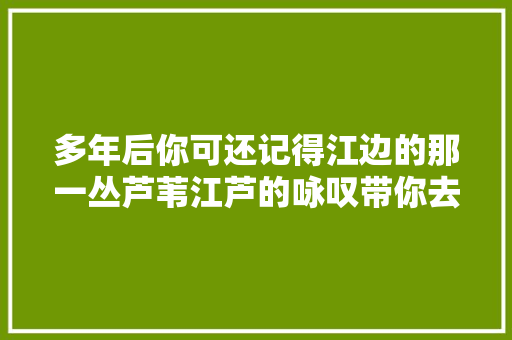 多年后你可还记得江边的那一丛芦苇江芦的咏叹带你去感想沾染