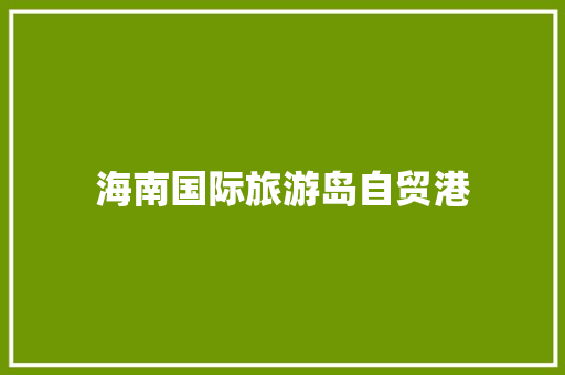 海南国际旅游岛自贸港