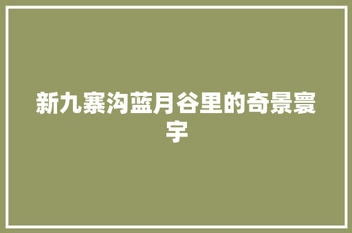 新九寨沟蓝月谷里的奇景寰宇