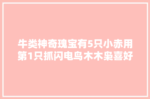 牛类神奇瑰宝有5只小赤用第1只抓闪电鸟木木枭喜好最后1只