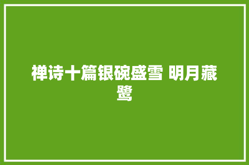 禅诗十篇银碗盛雪 明月藏鹭