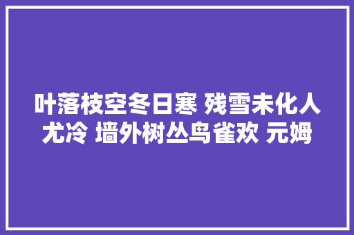 叶落枝空冬日寒 残雪未化人尤冷 墙外树丛鸟雀欢 元姆