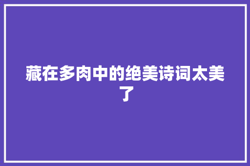 藏在多肉中的绝美诗词太美了