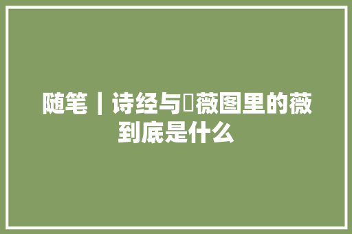 随笔｜诗经与釆薇图里的薇到底是什么