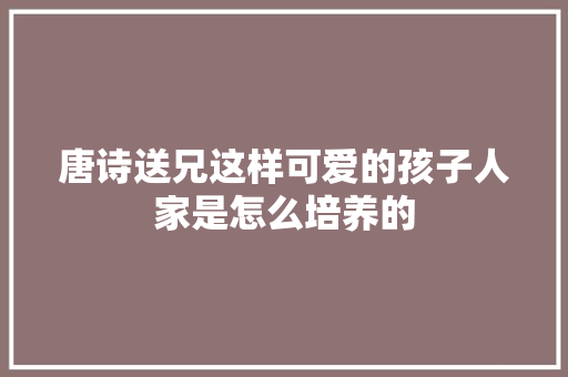 唐诗送兄这样可爱的孩子人家是怎么培养的