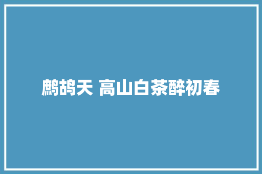 鹧鸪天 高山白茶醉初春