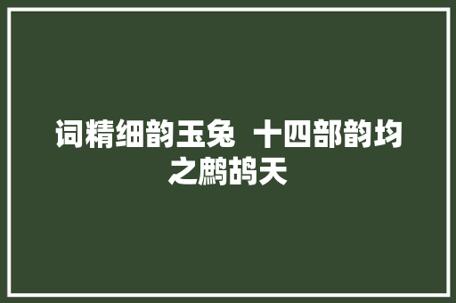 词精细韵玉兔  十四部韵均之鹧鸪天