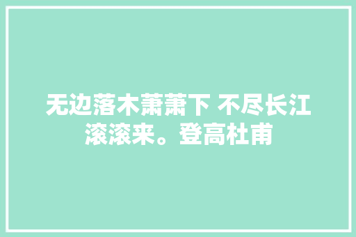 无边落木萧萧下 不尽长江滚滚来。登高杜甫