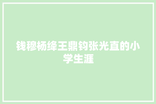 钱穆杨绛王鼎钧张光直的小学生涯