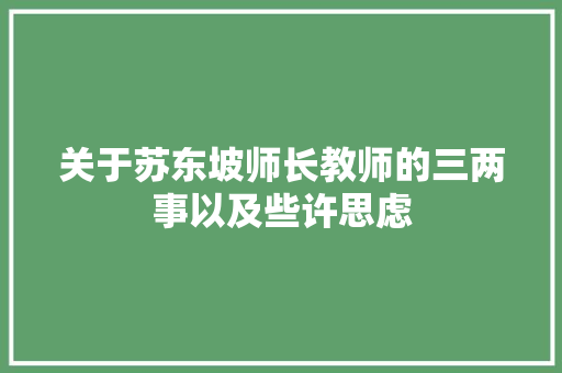 关于苏东坡师长教师的三两事以及些许思虑