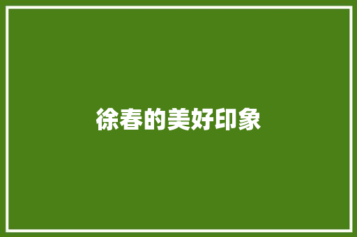 徐春的美好印象