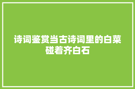 诗词鉴赏当古诗词里的白菜碰着齐白石