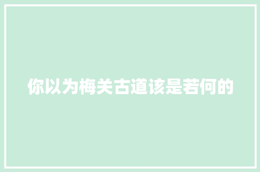你以为梅关古道该是若何的