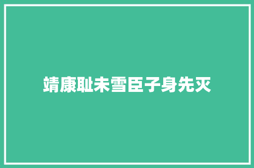 靖康耻未雪臣子身先灭