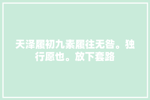 天泽履初九素履往无咎。独行愿也。放下套路