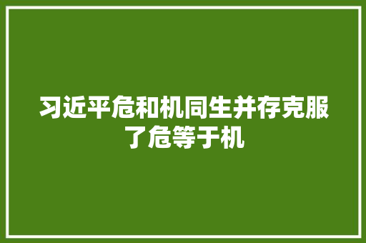 习近平危和机同生并存克服了危等于机