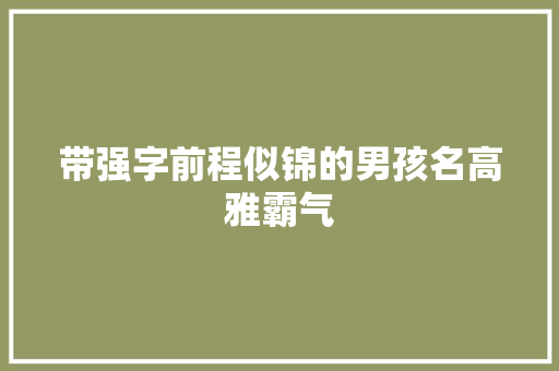 带强字前程似锦的男孩名高雅霸气