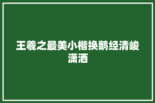 王羲之最美小楷换鹅经清峻潇洒