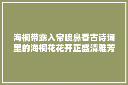 海桐带露入帘喷鼻香古诗词里的海桐花花开正盛清雅芳香