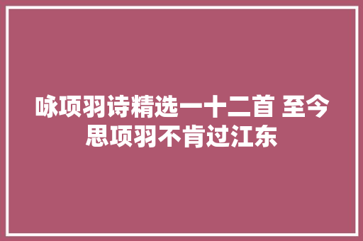 咏项羽诗精选一十二首 至今思项羽不肯过江东