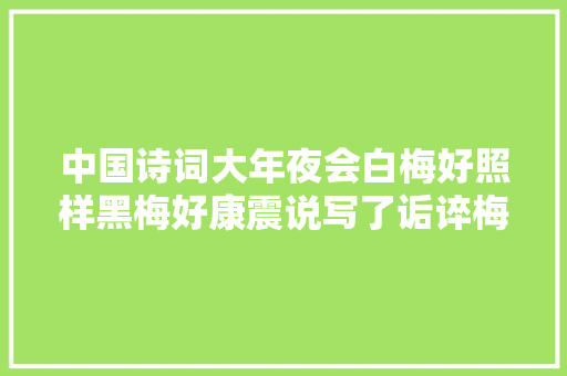 中国诗词大年夜会白梅好照样黑梅好康震说写了诟谇梅的王冕最好