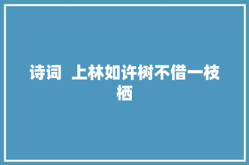 诗词  上林如许树不借一枝栖