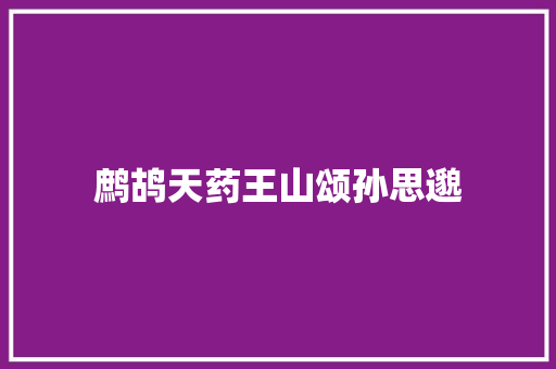 鹧鸪天药王山颂孙思邈