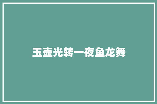 玉壶光转一夜鱼龙舞