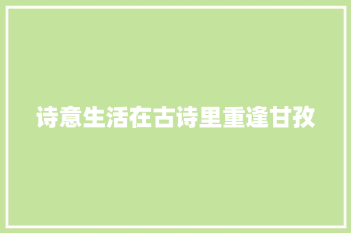 诗意生活在古诗里重逢甘孜