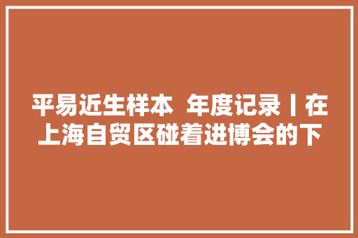 平易近生样本  年度记录丨在上海自贸区碰着进博会的下半场