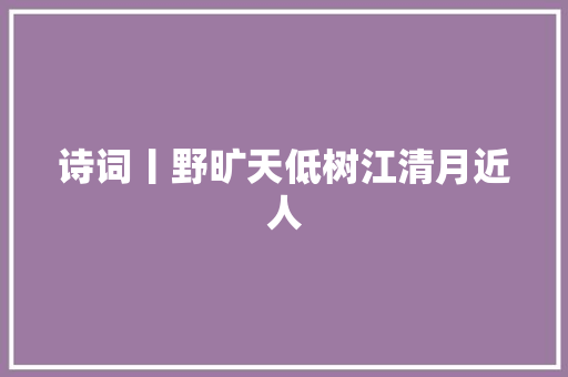 诗词丨野旷天低树江清月近人