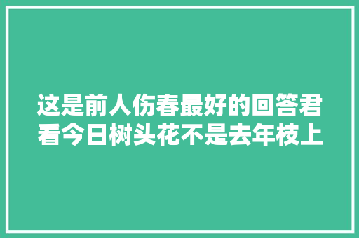 这是前人伤春最好的回答君看今日树头花不是去年枝上朵