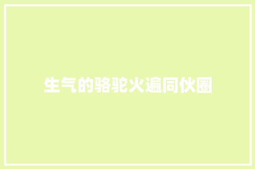 生气的骆驼火遍同伙圈