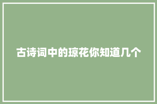 古诗词中的琼花你知道几个