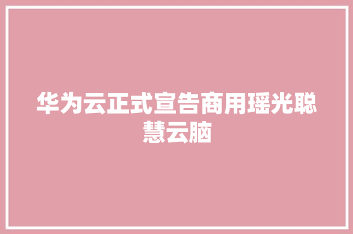 华为云正式宣告商用瑶光聪慧云脑