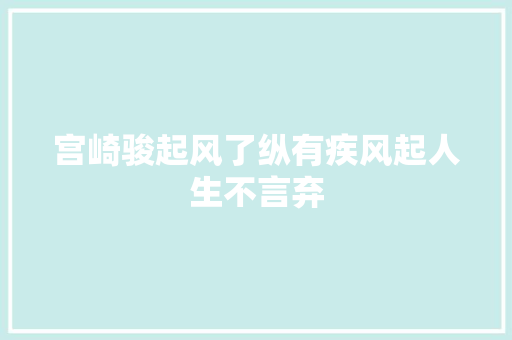 宫崎骏起风了纵有疾风起人生不言弃