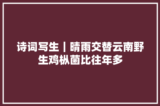 诗词写生｜晴雨交替云南野生鸡枞菌比往年多
