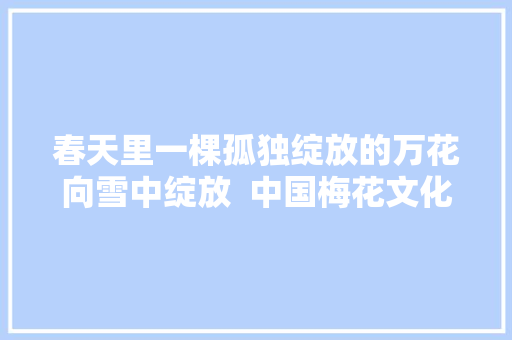 春天里一棵孤独绽放的万花向雪中绽放  中国梅花文化座谈